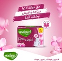 Molped Ultra Fresh & Comfort Long - 7 Pieces