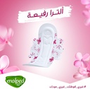 Molped Ultra Fresh & Comfort Long - 7 Pieces