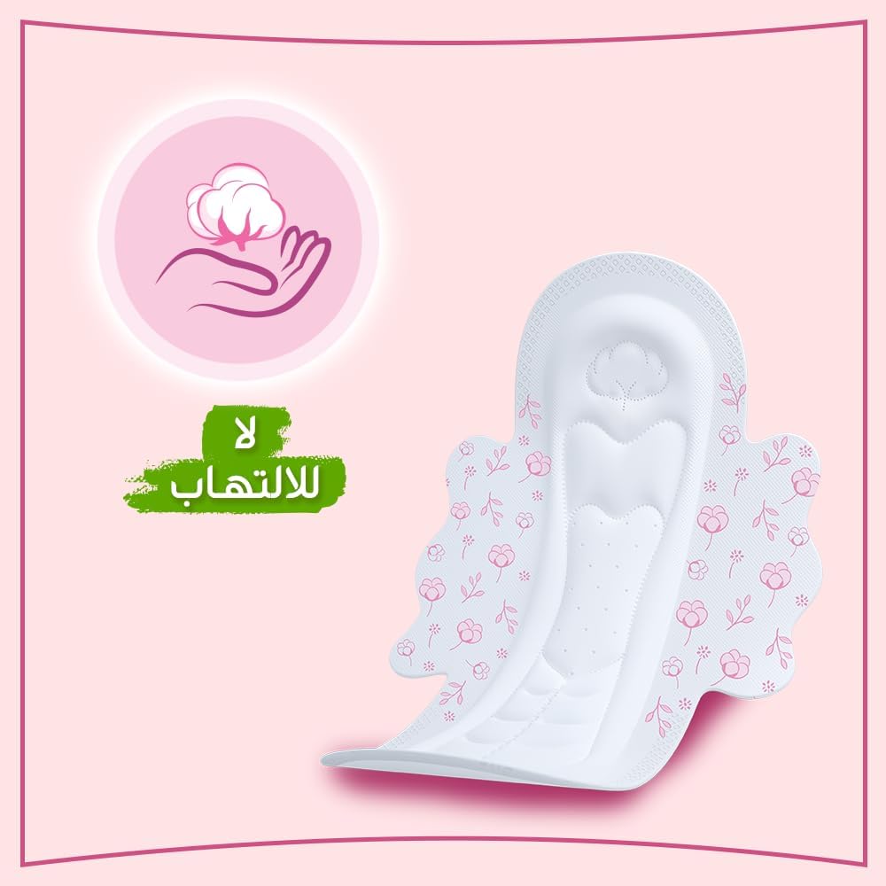 MOLPED DREAM SOFTNESS  EXTRA LONG 22 PADS 