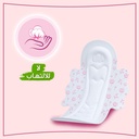 MOLPED DREAM SOFTNESS  EXTRA LONG 22 PADS 