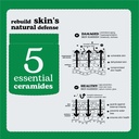 BEESLINE EVERYONE BARRIER CREAM 5 SERAMIDES+POLYPEPTIDE 76 \50 ML