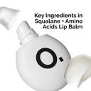 The Ordinary Amino Acids Lip Balm 15ml