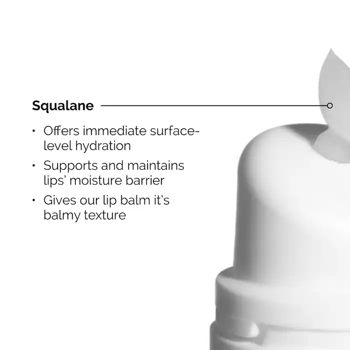 The Ordinary Amino Acids Lip Balm 15ml