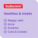Sudocrem Antiseptic Healing Cream, 60g