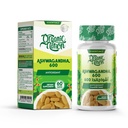 ORGANIC NATION Ashwagandha 600-30Serv.-60Tablets