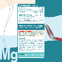 ORGANIC NATION MAGNESIUM MALATE 60 TAB
