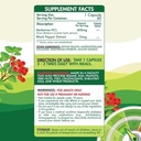 ORGANIC NATION BERBERINE 60 CAP