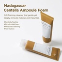 Skin 1004 Madagascar Centella Ampoule Foam - 125ml