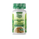 ORGANIC NATION ASHWAGANDA 600 60 TAB